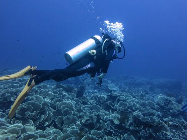 成都6个项目入选2023年大数据产业发展示范名单
